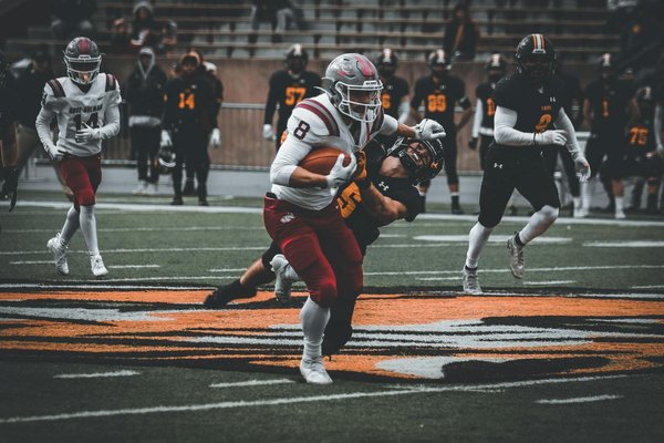 Understanding interest rates basics: your essential guide